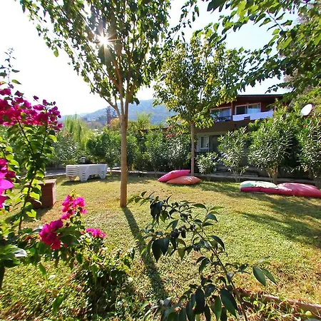 Hotel Kiyi *