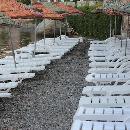 Hotel Kiyi *